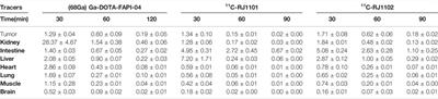 Radiosynthesis and First Preclinical Evaluation of the Novel 11C-Labeled FAP Inhibitor 11C-FAPI: A Comparative Study of 11C-FAPIs and (68Ga) Ga-DOTA-FAPI-04 in a High–FAP-Expression Mouse Model